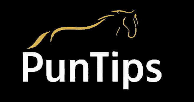 PunTips Logo